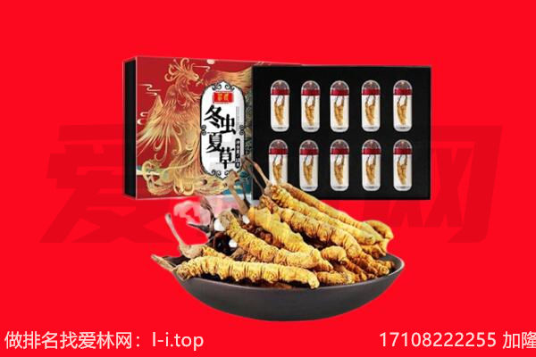 和龙市回收虫草.jpg